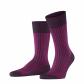 aubergine (8282)
