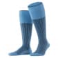 Cornflower Blue