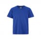 Cobalt