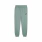 Puma Herren Trainingshose ESS No. 1 Logo Sweatpants FL cl (s) 682607 