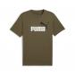 Loden Green