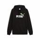 PUMA Black-spring fern