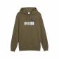 Loden Green