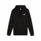 PUMA Black-spring fern