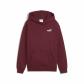 Puma Kinder Kapuzenpullover ESS Small No. 1 Logo Relaxed Hoodie FL 684921 
