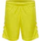 Blazing Yellow