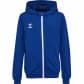 Hummel Kinder Trainingsjacke hmlAuthentik PL ZIP HOODIE 219980 