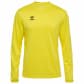 Blazing Yellow