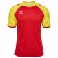 TRUE RED/BLAZING YELLOW