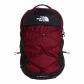 Burgundy Crush/TNF Black