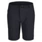 Odlo Damen Wandershorts Ascent 560501 