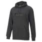 Puma Herren Kapuzenpullover ESS Big Logo Hoodie 586686 