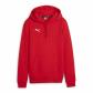 Puma Damen Kapuzenpullover teamGOAL Casuals Hoody Wmn 658621 