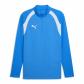 Puma Herren Trainingstop teamFINAL26 Training 1/4 Zip Top 659679 