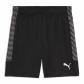 Puma Herren Short teamLIGA26 Training Shorts 659730 