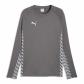 Puma Herren Pullover teamLIGA26 Training Sweat 660926 