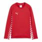 Puma Kinder Pullover teamLIGA26 Training Sweat Jr 660927 