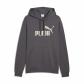 Puma Herren Kapuzenpullover ESS No. 1 Logo Hoodie FL (s) 682571 