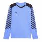 Puma Herren Torwarttrikot teamLIGA26 GK Jersey LS 706547 