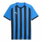 Puma Herren Trikot teamLIGA26 Striped Jersey 706550 