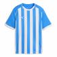 Puma Kinder Trikot teamLIGA26 Striped Jersey 706551 
