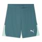 Puma Herren Short teamLIGA26 Shorts 706554 