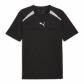 PUMA Black-Team Silver