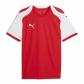 Puma Herren Trikot teamFINAL26 Knit Jersey 706651 