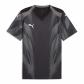 Puma Herren Trikot teamFINAL26 Graphic+ Jersey 706654 