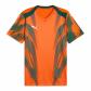Puma Herren Trikot teamFINAL26 Graphic+ Jersey 706654 