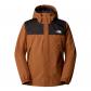 Burnt Umber/TNF Black