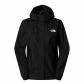 TNF Black