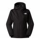 TNF Black