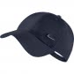 Obsidian/Metallic Silver