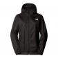 TNF BLACK/FOIL GREY
