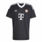 adidas Herren FC Bayern München Torwarttrikot UCL 24/25 