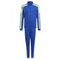 Team Royal Blue/Team Solar Yellow