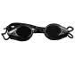Black/Smoke Silver/Black