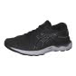 Black/Pure Silver