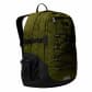 Forest Olive-TNF Black-NPF