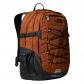 Burnt Umber/TNF Black