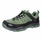 Salvia