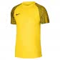 Nike Herren Trikot Dri-FIT Academy Jersey SS DH8031 