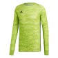 semi solar green