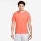 Lt Wild Mango/Refl Silv