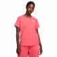 Aster Pink/White