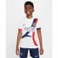 Nike Kinder Trikot Paris Saint-Germain Stadium Away 2024/25 FN9126 
