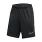 Nike Herren Short Dri-FIT Academy 25 FZ9776-010 M Black/Black/White | M