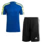 Team Royal Blue/Team Solar Yellow