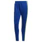 Team Royal Blue/Team Solar Yellow